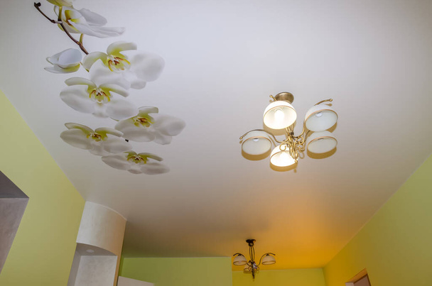 ヴィンテージシャンデリアと蘭の花と美しいストレッチ天井 - 写真・画像