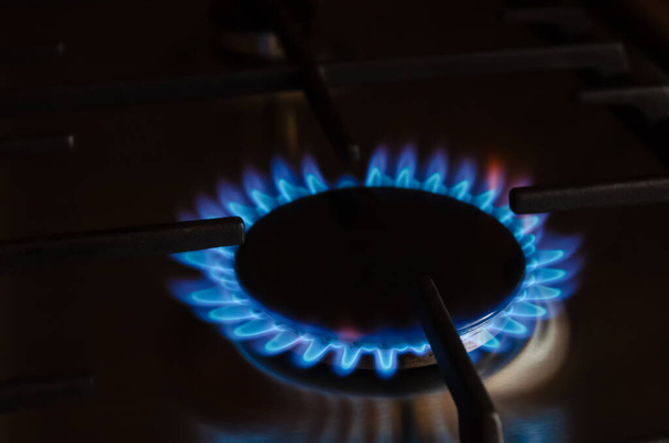 modrý plyn plamen zblízka na plynovém sporáku - Fotografie, Obrázek