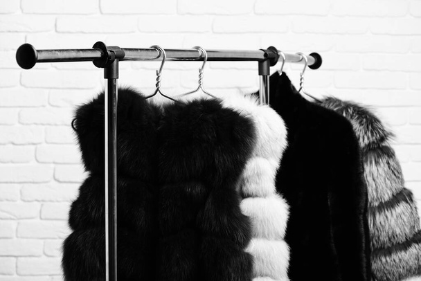 fashionable fur on hangers - Photo, image