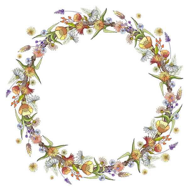 A wreath of delicate wildflowers, herbs, berries. - Vektor, kép