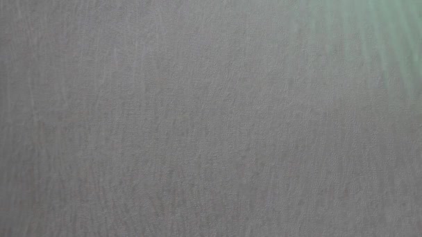 Värillinen vihreä ray hiipii pitkin harmaa seinä - Materiaali, video