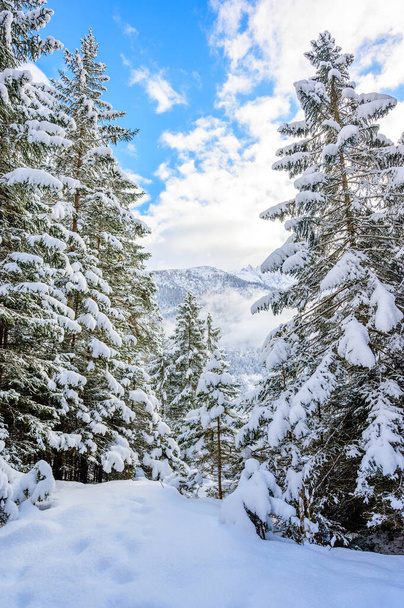 Beautiful winter landscape scenery in Tirol, Reutte, Austria - Zdjęcie, obraz