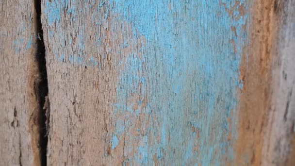 Texture of old wooden turquoise shabby planks with cracks and stains. Abstract background of wooden table top - Footage, Video