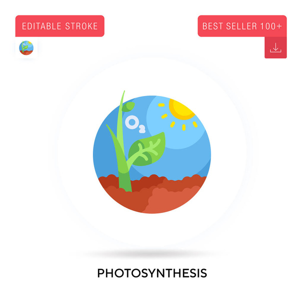 Photosynthese detaillierte kreisförmige flache Vektor-Symbol. Vektor isolierte Konzeptmetapher-Illustrationen. - Vektor, Bild