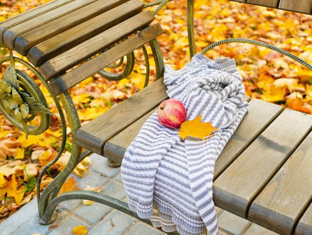 秋の公園のベンチでリンゴ。高品質の写真 - 写真・画像