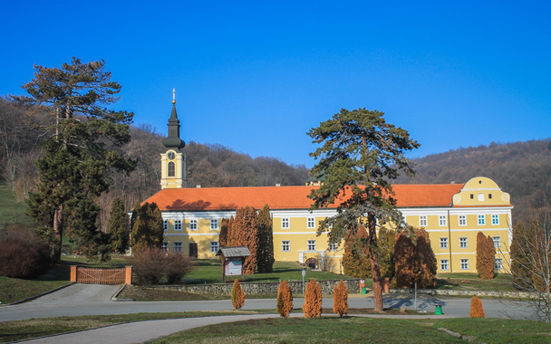 új chopovo kolostor Szerbia - Fotó, kép