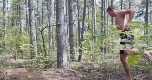 De man die karate beoefent beweegt schommel in het bos - Video
