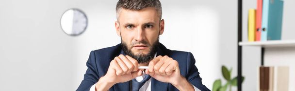 Young businessman looking at camera while holding pencil in office, banner - Foto, Imagem