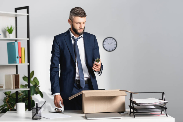 Irtisanottu liikemies holding kasvi lähellä kannettavaa tietokonetta, paperitavarat ja kartonki laatikko pöydällä toimistossa  - Valokuva, kuva