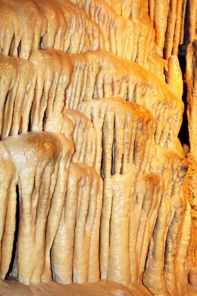 自由の美しいデマノブスカ ・洞窟の内部 - 写真・画像