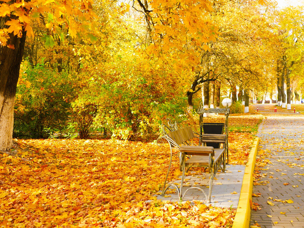 Lege parkbank met oranje en gele herfstbladeren. Hoge kwaliteit foto - Foto, afbeelding