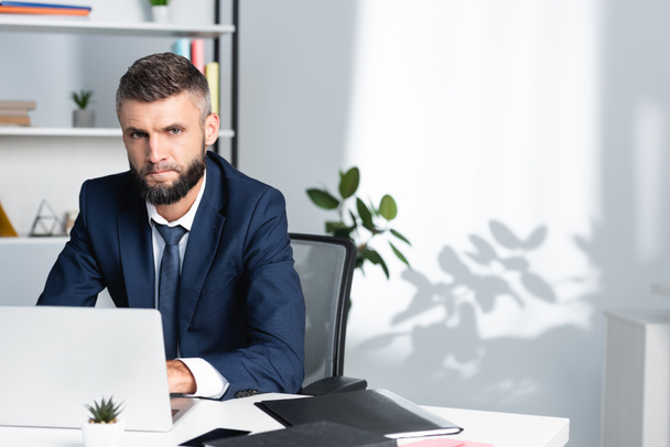 Bearded businessman looking at camera with laptop and paper folder on blurred foreground  - Фото, изображение
