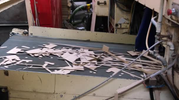 Trim Wastes. Paper shavings close up, waste from the production of cardboard boxes. Machine carves cardboard boxes from sheets of cardboard. Manufacture of cardboard boxes. Footage with sound. - Footage, Video