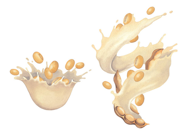 Watercolor splashes of plant based milk with soy beans. - Photo, Image