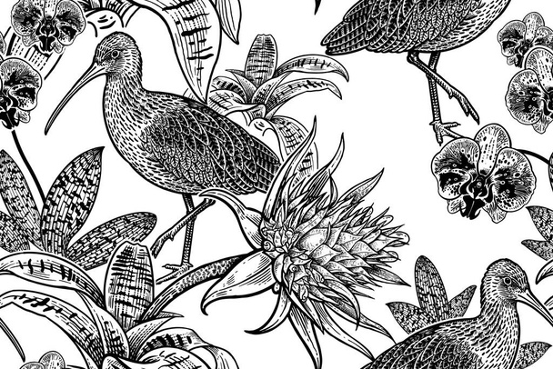 Birds and flowers. Ibis, orchids and exotic flowers. Floral seamless pattern. Black graphics on white background. Vector illustration. Vintage engraving. Template for paper, wallpaper, textiles. - Vektor, Bild