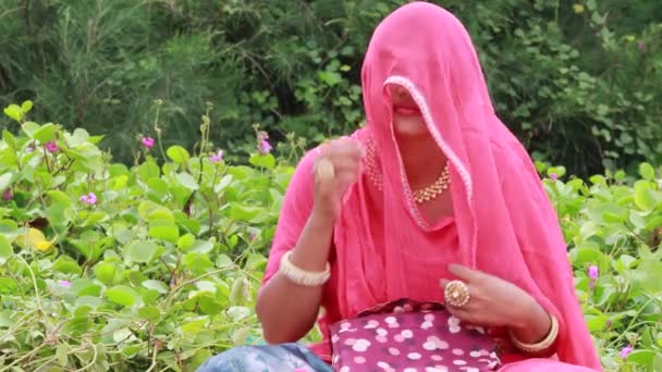 Een mooie Indiase vrouw zit in de tuin, volgens haar cultuur en religie, Rajputini schieten gekleed in roze en het verwijderen van de sluier terug volgens Hindoe traditionele - Video