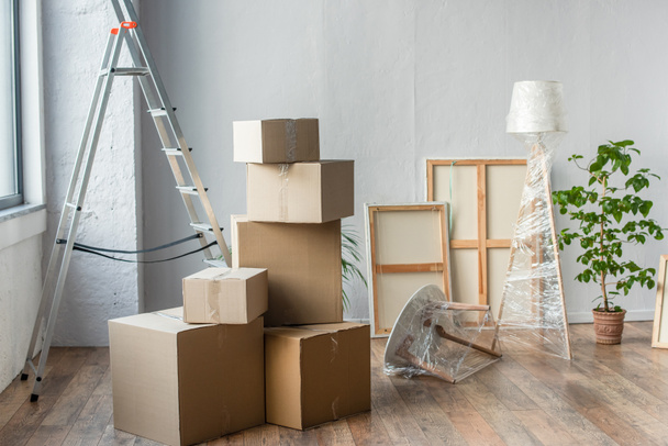 cardboard boxes, frames, ladder, lamp and plant in empty room, moving concept - Photo, Image