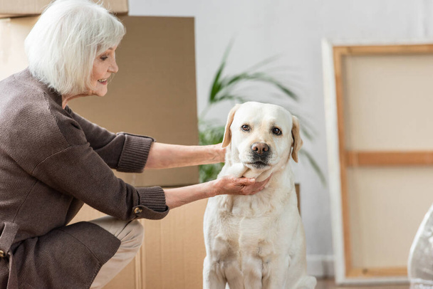 mulher sênior cão de estimação na nova casa com caixas de papelão no fundo - Foto, Imagem