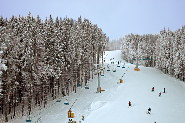 bosque nevado de invierno y un telesilla para esquiadores
 - Foto, imagen