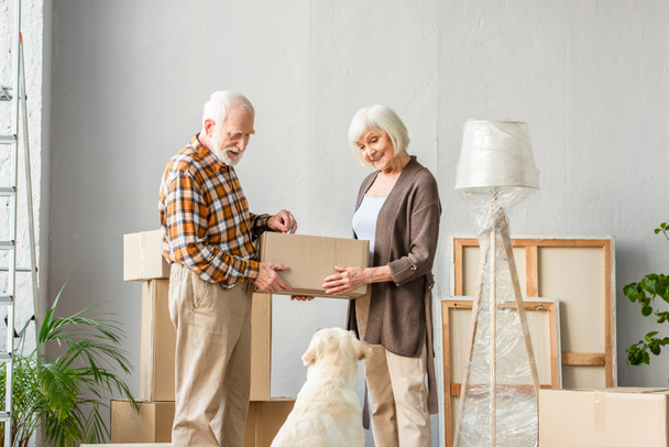 Yaşlı çift ellerinde karton kutuyla köpeğe bakıyor. - Fotoğraf, Görsel