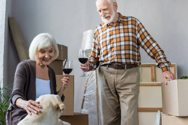 senior couple holding glasses of wine and looking at dog in new house - Photo, Image