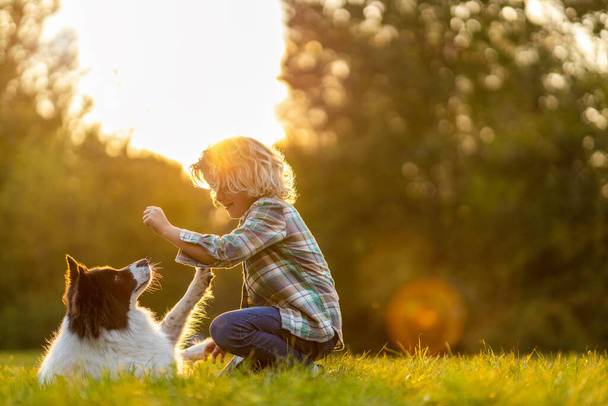 Little boy playing with his dog outdoors in the park - Foto, immagini