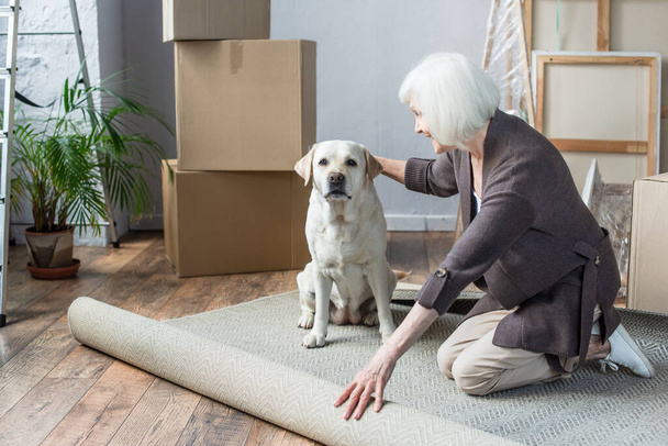 cheerful senior woman rolling carpet and petting dog - Photo, Image