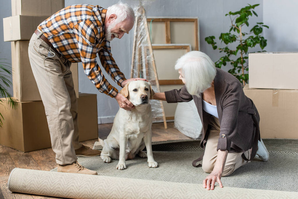 veselý starší pár mazlení pes a žena válcování koberec - Fotografie, Obrázek