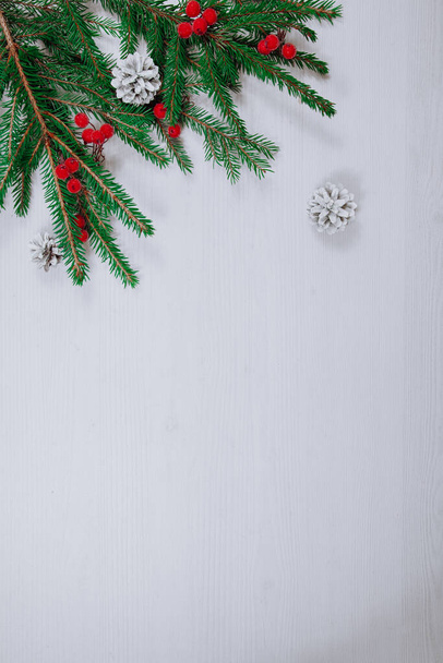 Christmas and New Year holiday evergreen tree, Xmas green art corner design. Branches of fir tree decorated with holly berry and cones on white wooden background. Copy space. - Photo, Image
