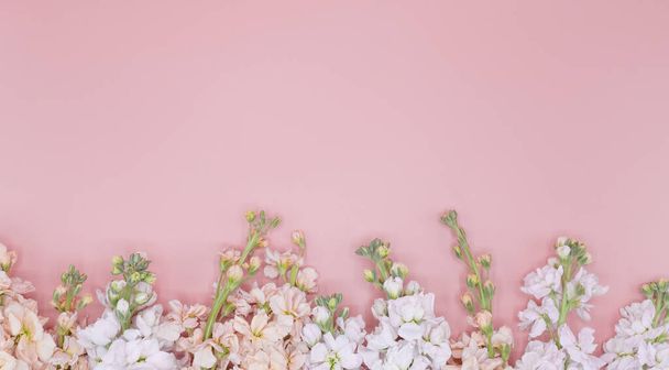 όμορφα λευκά και ροζ λουλούδια στο ροζ φόντο με χώρο αντίγραφο - Φωτογραφία, εικόνα