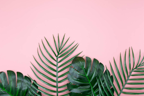 green leaves of the pink background with copy space. - Фото, зображення