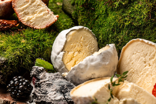 Harde zachte kaas, blauwe kaas, geitenkaas crottin de chavignol, Franse geitenkaas bedekt met as, zelfgemaakte kaasboer, Het concept van natuurlijk eco-voedsel. - Foto, afbeelding