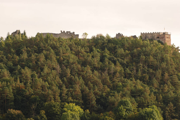 Góra, zamek, Bona, las, mury, wieża, brama - Zdjęcie, obraz