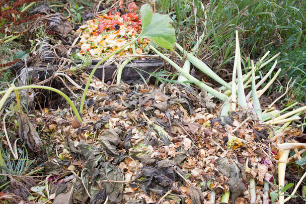 Compost. Residuos orgánicos: tapas de plantas cortadas, hojas caídas, malas hierbas. - Foto, Imagen