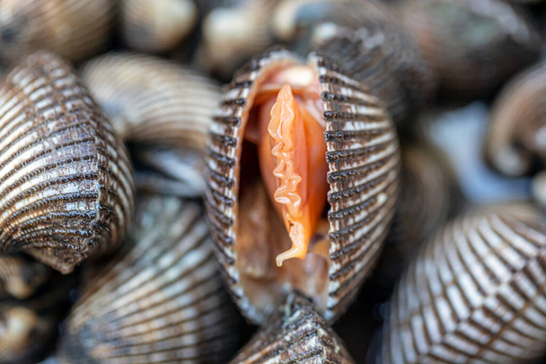 Sıradan bir midyeye yakın çekim - Fotoğraf, Görsel