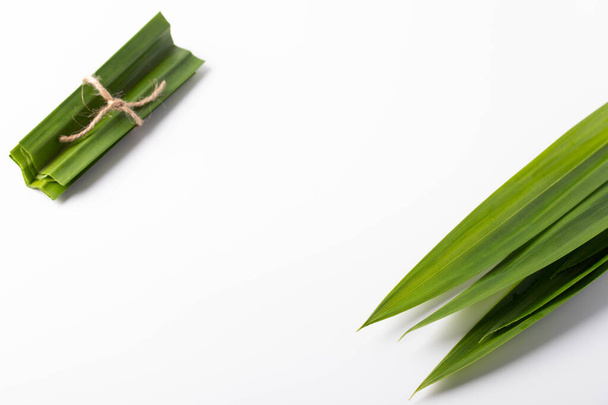 Pandanus on a white background. Copy space. - Photo, Image
