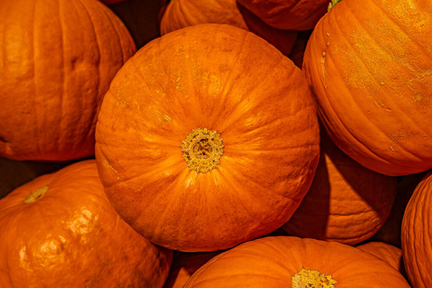 伝統的な秋のオレンジカボチャの背景、クローズアップ、詳細 - 写真・画像