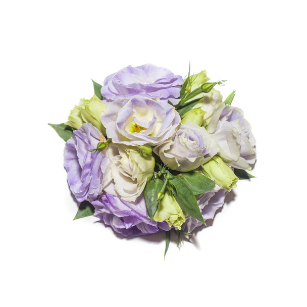 Eustoma decorazione fiori isolato su sfondo bianco - Foto, immagini
