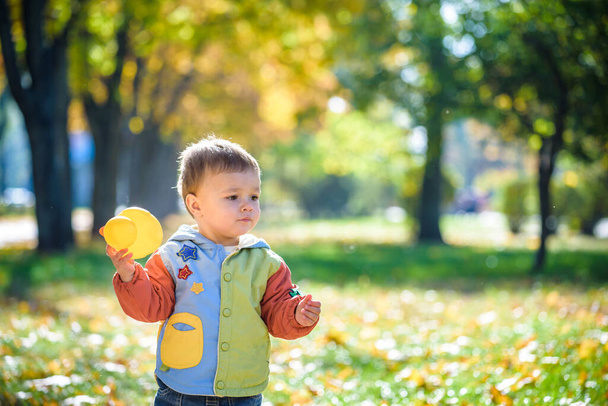 Emotional portrait of a happy and cheerful little boy laughing. yellow flying maple leaves while walking in the autumn park. Happy childhood. Autumn mood. Positive emotions. Lifestyle. - Zdjęcie, obraz