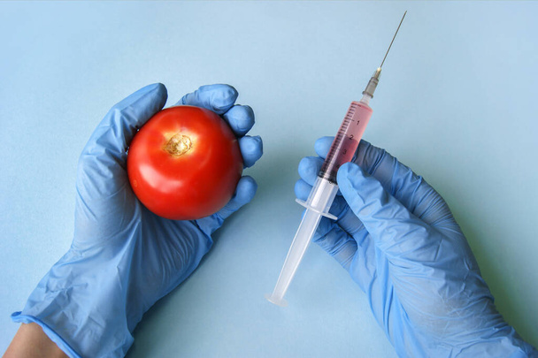 Tomato and syringe with GMO in hands on a blue background. GMO concept with vegetables and fruits. - Photo, Image