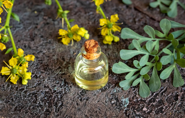 Een transparante fles etherische olie met verse gewone rue, of Ruta graveolens bloemen - Foto, afbeelding