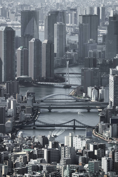De nombreux appartements de grande hauteur alignés sur le front de mer de Tokyo le long de la rivière Sumida - Photo, image