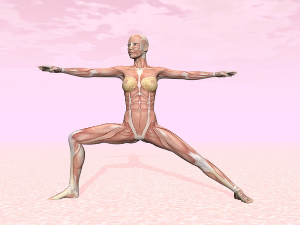 Guerrier pose de yoga pour femme avec muscle visible
 - Photo, image