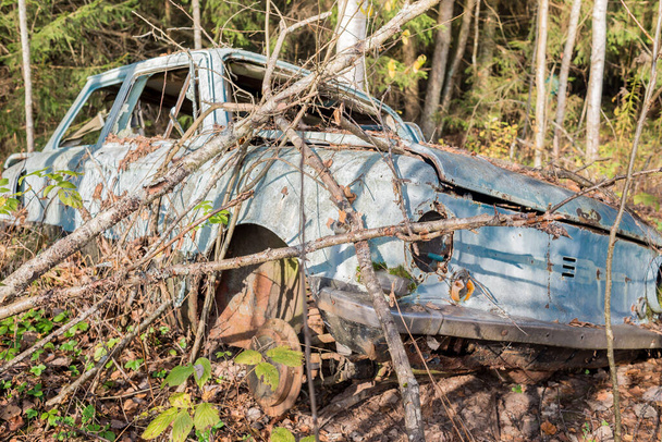 stary samochód porzucony w lesie / Stary samochód w lesie.  - Zdjęcie, obraz