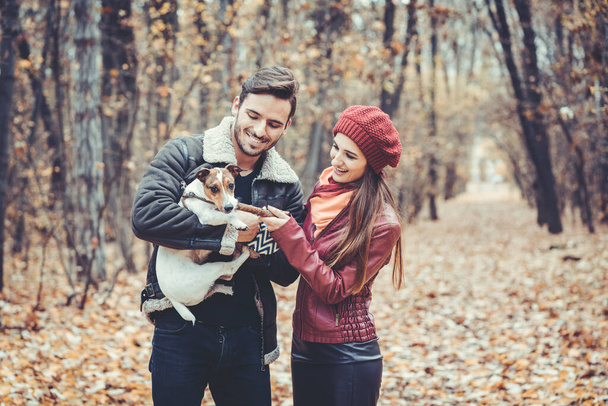 Pareja en otoño teniendo paseo con perro en un parque - Foto, imagen