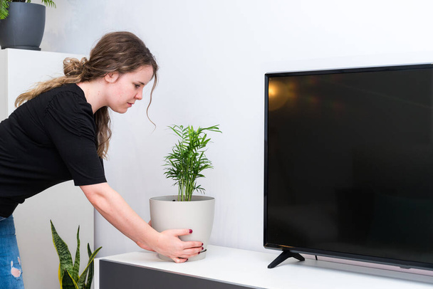 Young woman putting plants in her new house, home life, home decoration. - 写真・画像