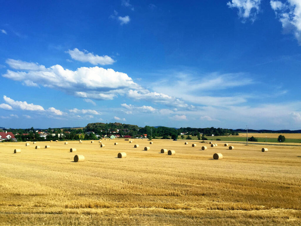 тюки сена на поле против голубого неба в Чехии - Фото, изображение
