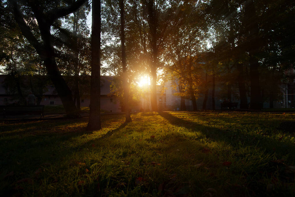 ατμόσφαιρα χρυσή εποχή φθινόπωρο πάρκο εξωτερική γραφική θέα με θολή αντικείμενα και τον ήλιο λάμψη φωτισμού το βράδυ του χρόνου - Φωτογραφία, εικόνα