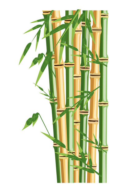 Bamboo trees with leaf. Color vector flat cartoon illustration - Vector, Image