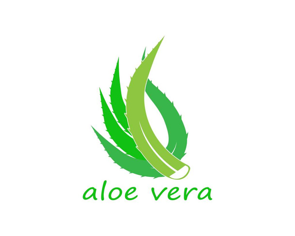 Aloe vera logo vektörü - Vektör, Görsel